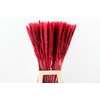 DF Pampas Silvy Bs 10pc Red
