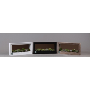 Houten schilderij met spiegel hout met Succulenten