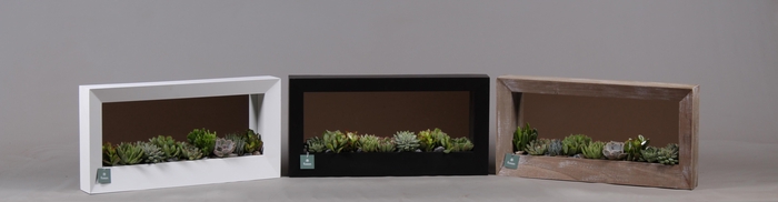 <h4>Schilderij met spiegel hout met Succulenten</h4>