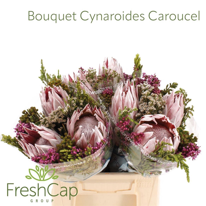 <h4>Bouquet Cynaroides Carousel</h4>