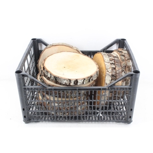 arr3 GB - Eikenschijf rond 20/23cm