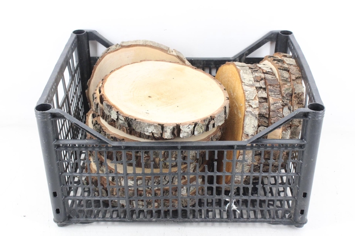 <h4>arr3 GB - Eikenschijf rond 20/23cm</h4>