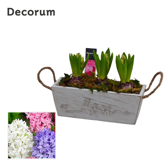 <h4>Hyacint Love & Timber HL15710 [PURE]</h4>