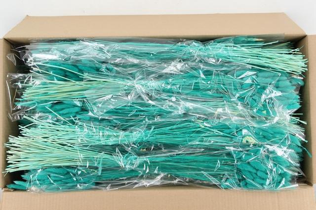 <h4>DF Lagurus Bs 50g/70cm Aqua</h4>