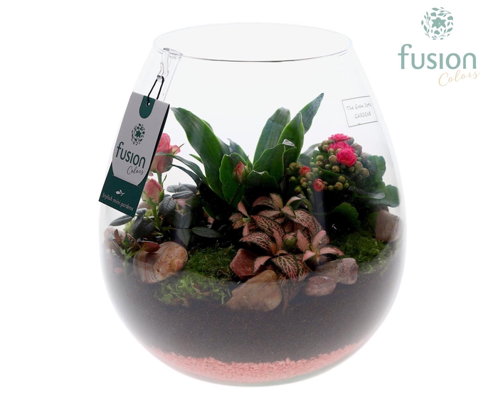 <h4>Green Bottle Abby Large Love met arrangement</h4>