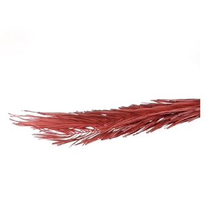 DRY KHAJUR PALM PINK