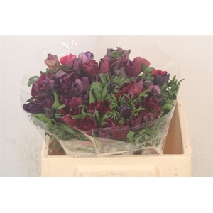 Anemone Mistral Wine