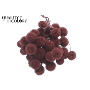 Small ball per bunch in poly Burgundy