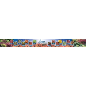 Banner Acer