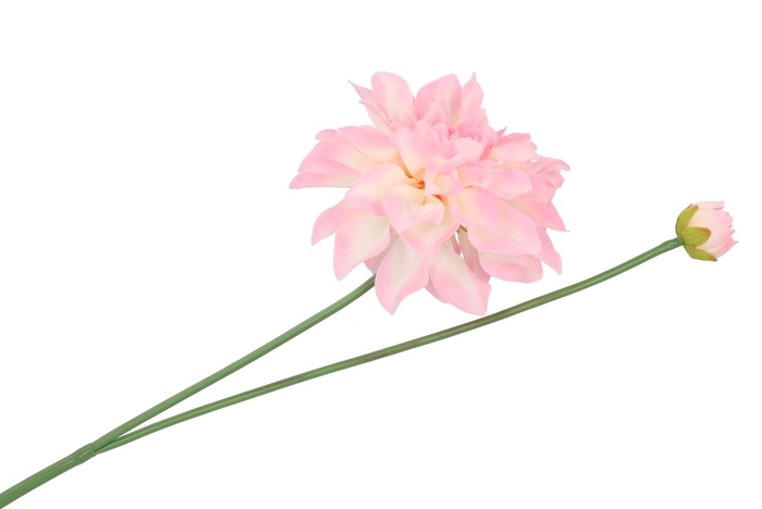 <h4>Silk Dahlia Spike White/light Pink 78cm</h4>