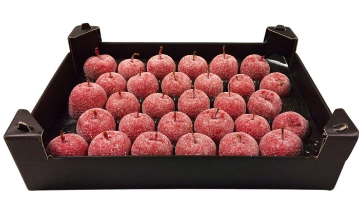 <h4>WAX APPEL H%</h4>
