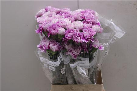 <h4>Di St Merletto Lavender</h4>