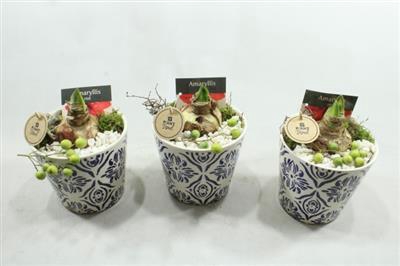 <h4>6473 KER BLAUW/WIT AMAR</h4>