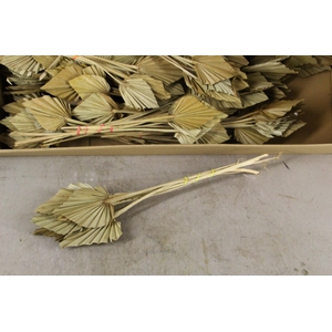 DF Palm Spear Small  Natural
