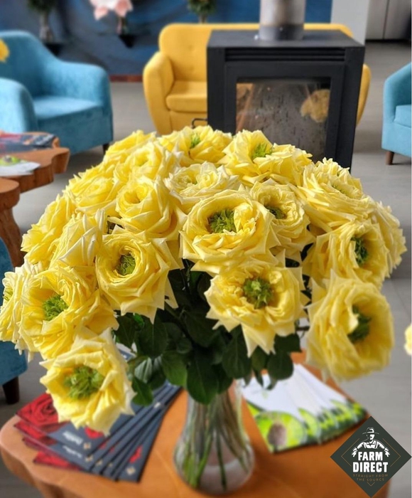 <h4>R GR SUNNY DAY'S</h4>