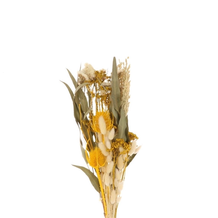 <h4>Dried flowers Bouquet Dutch 55cm</h4>