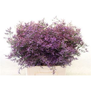 LIM SAF DARK BLUE 30gr