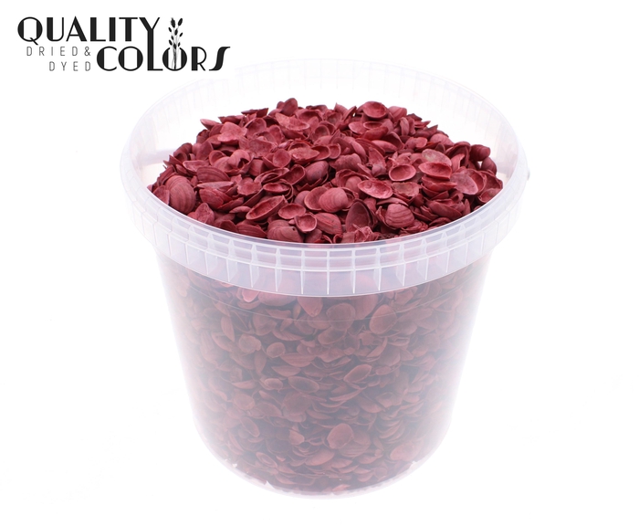 Shells north sea 10 ltr Red