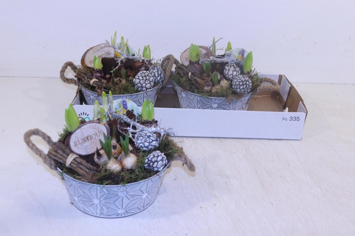 <h4>ARR BOL KNOLGEWAS</h4>