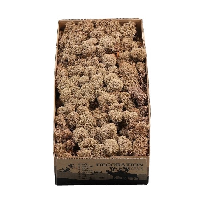 <h4>IJSLANDS MOS BRUIN 425GR</h4>