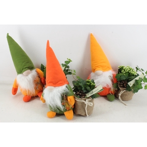 arr2 MB - Gnome L kal. mix