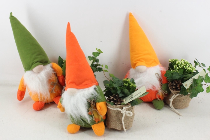 <h4>arr2 MB - Gnome L kal. mix</h4>