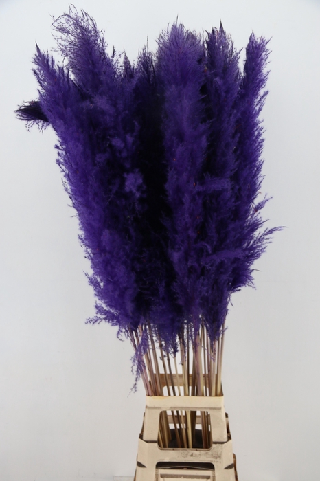 <h4>DROOGBL BEWERKT H%</h4>