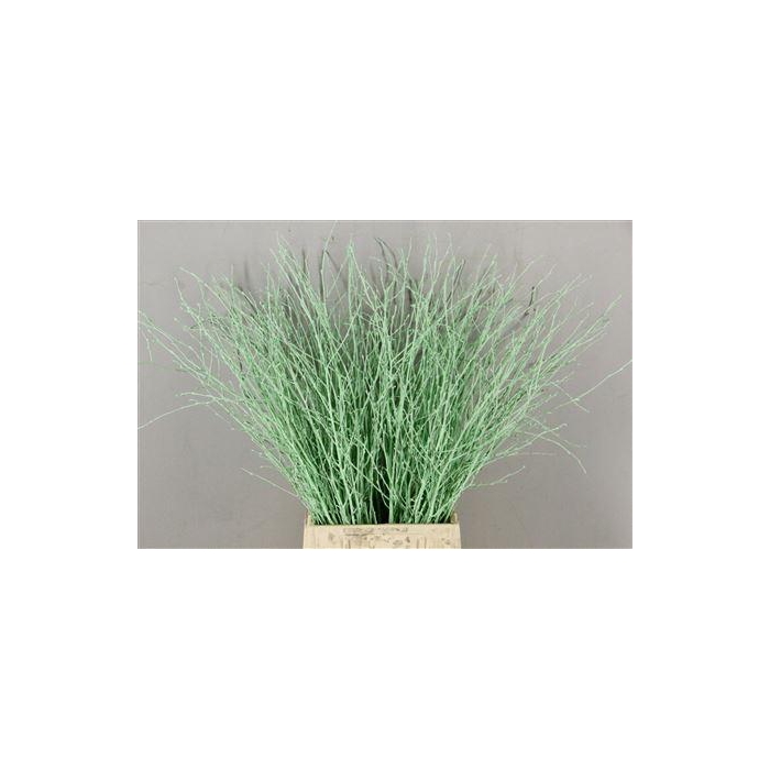 <h4>Berk Kort Mintgroen</h4>
