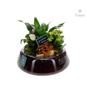 Green Bottle Christel Large Grootmoederdag met arrangement