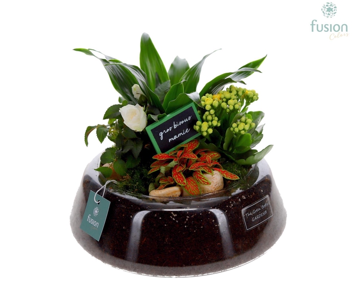 <h4>Green Bottle Christel Large Grootmoederdag met arrangement</h4>