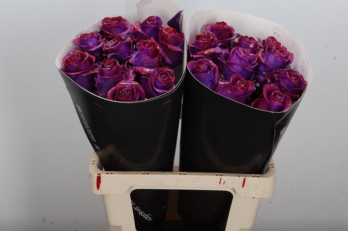 <h4>Wax-Rozen Wax Classic Purple</h4>