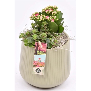 Touwmand naturel 18cm