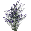 LIMONIUM 080 CM ROXO