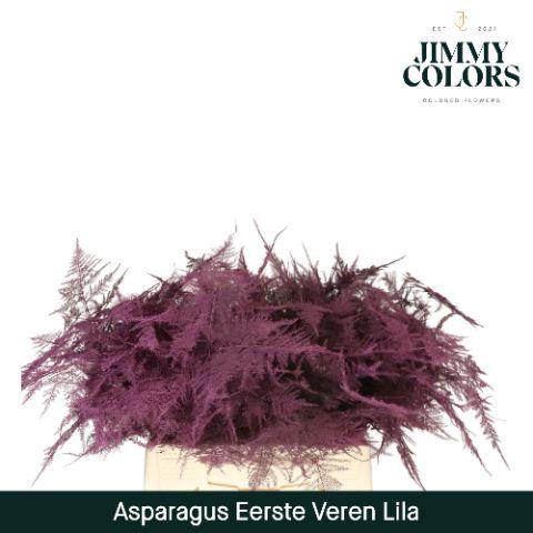 <h4>Aspa 1ste veren Lila</h4>