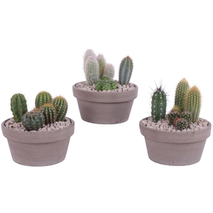 Yearround Arr. Cactus Ceramic Romana Grey Terracotta Ø17cm 3PP