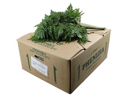 <h4>Leder. Extra</h4>