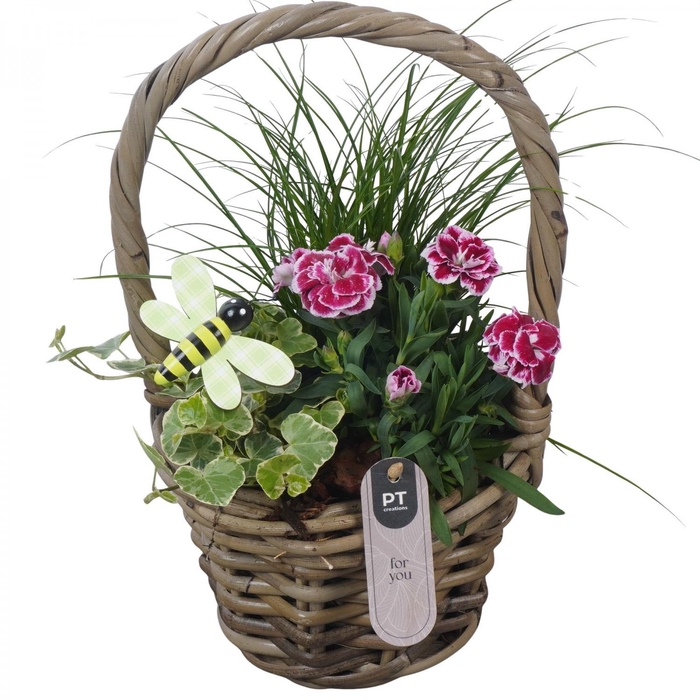 <h4>PTPP7029 Arrangement Patio in rieten mand</h4>