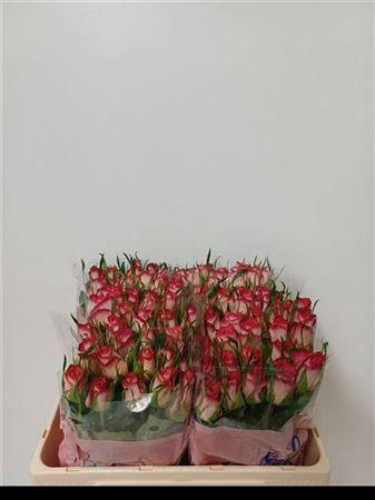 <h4>R Gr Double Date!</h4>