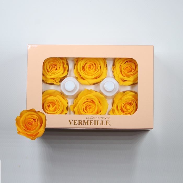 <h4>Rose Ines Saffron Yellow</h4>