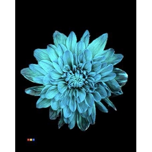 Chr T 2 Kl Baltica Ocean Green