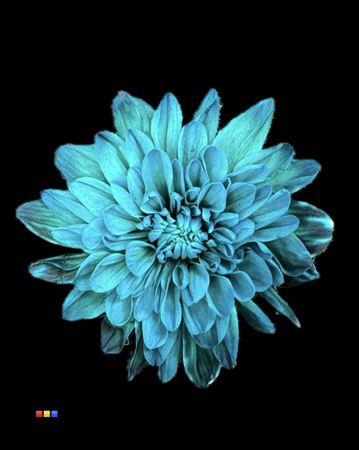 <h4>Chr T 2 Kl Baltica Ocean Green</h4>