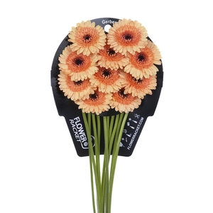 Ge Mi Oreo Flowerracket