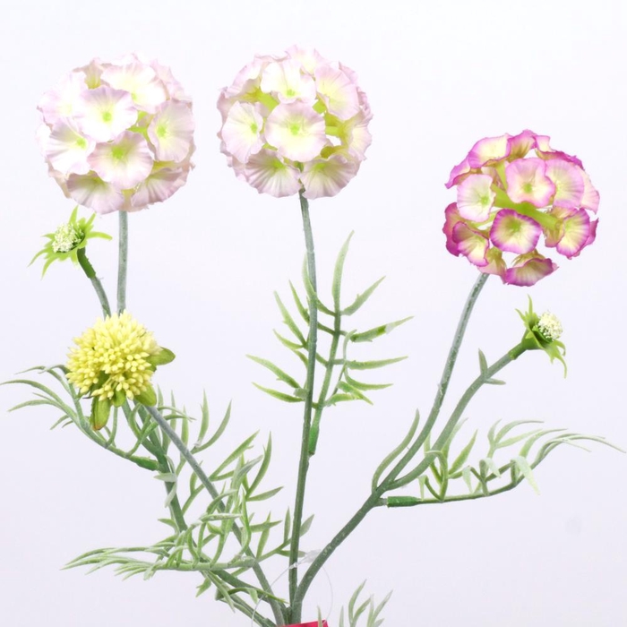 <h4>AF Scabiosa ball spr L61cm pi</h4>