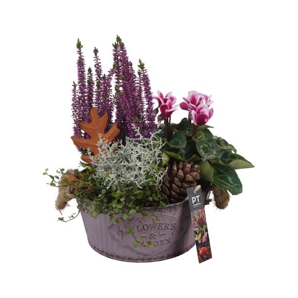 <h4>PTHO4116 Arrangement Herfst Outdoor in metalen pot</h4>