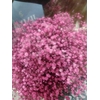GYPS GEFAE 20gr SOFT PINK