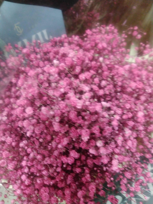 GYPS GEFAE 20gr SOFT PINK