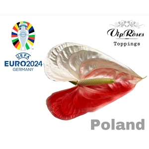 ANT A FLAG POLAND