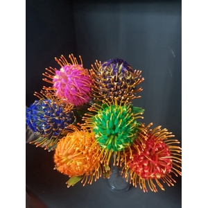Leucospermum Jelena Tint