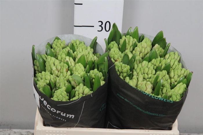 <h4>Hyac Fondant Extra</h4>