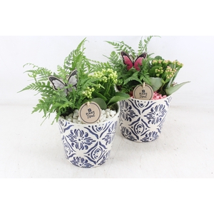 arr2 PL - Ker. pot delft blauw - roze/wit